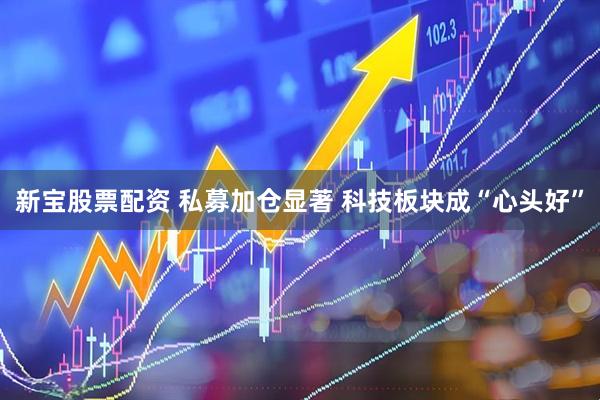 新宝股票配资 私募加仓显著 科技板块成“心头好”