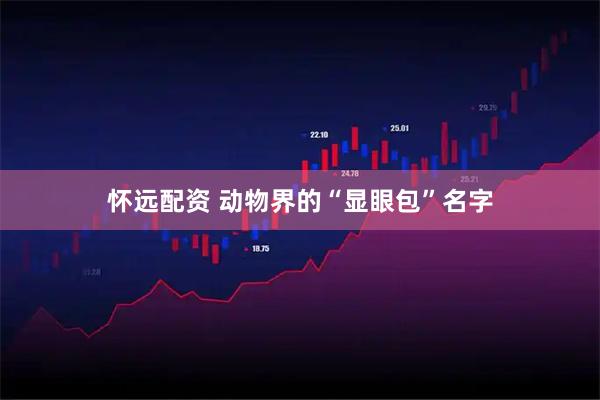 怀远配资 动物界的“显眼包”名字