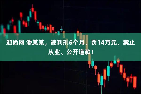 迎尚网 潘某某，被判刑6个月、罚14万元、禁止从业、公开道歉！