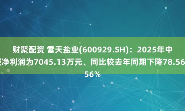财聚配资 雪天盐业(600929.SH)：2025年中报净利润为7045.13万元、同比较去年同期下降78.56%